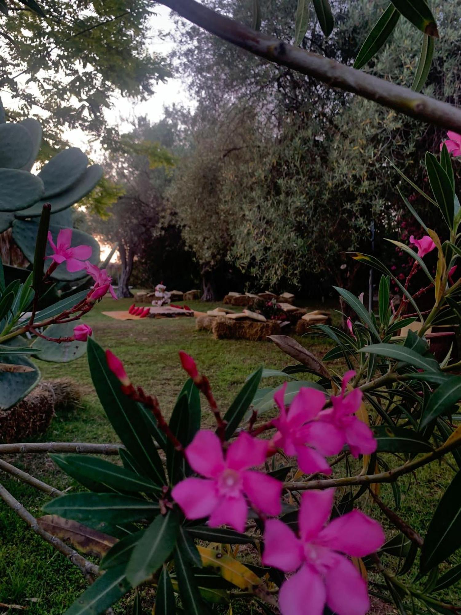 Valle Di Mare Country Resort Фонтане Бианче Екстериор снимка