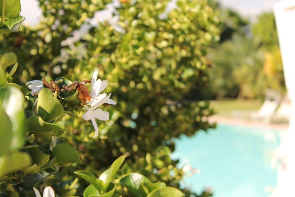 Valle Di Mare Country Resort Фонтане Бианче Екстериор снимка